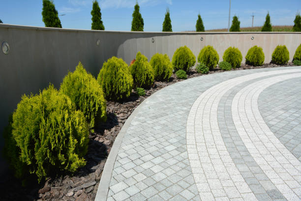 Best Concrete Paver Driveway  in Fris, CO