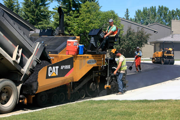 Best Driveway Paving Contractor  in Fris, CO